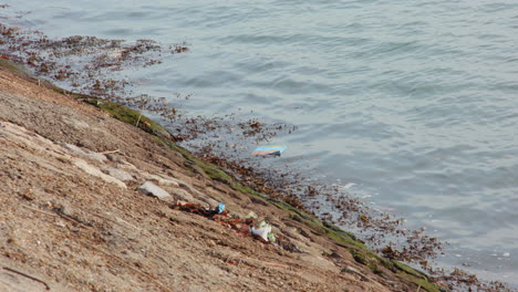 rubbish floating in sea at port