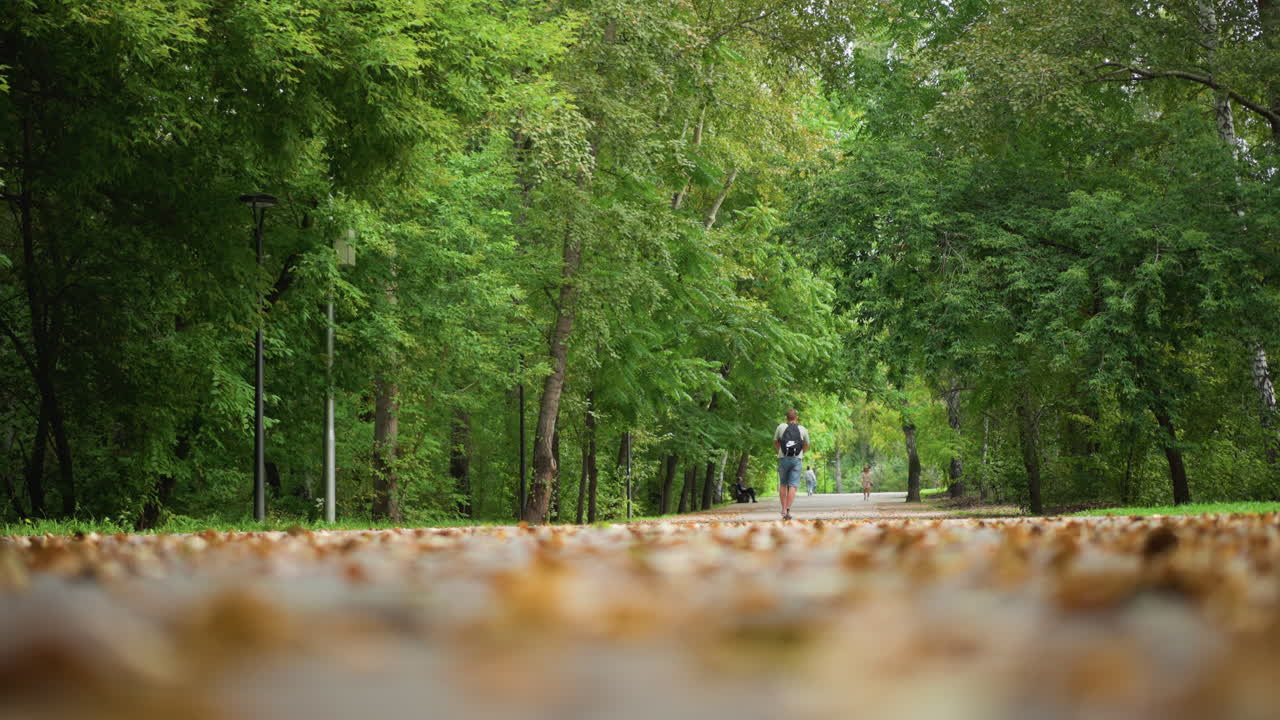 White Man Jogging On Park Path, LowAngle Perspective With Foreground Leaves, Backpacked Runner Moves Toward Camera With Steady Stride, Summer Canopy And Dappled Light, Morning Fitness Routine