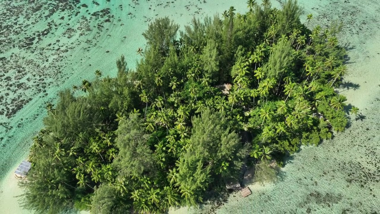 Exuberante isla tropical verde rodeada por un mar azul claro en Tahití