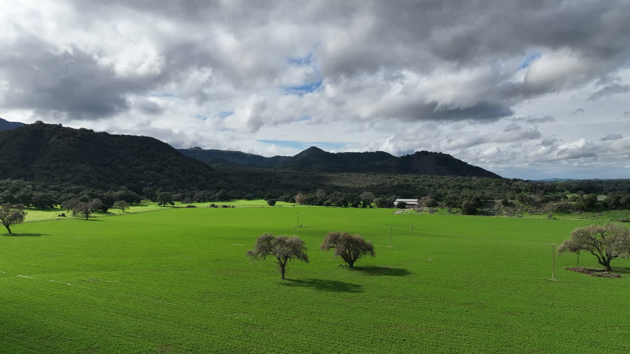 Condado de Santa Bárbara, por la carretera 154. Precioso pasto verde