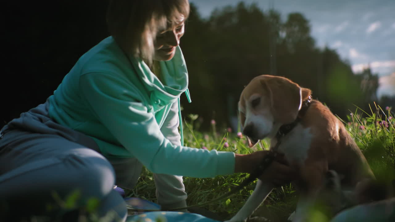 Sport woman spending peaceful moment with her loyal dog on mat in grassy park during sunset, surrounded by wildflowers and greenery, sharing affection and bonding time under beautiful evening sky
