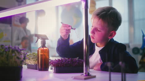 boy doing a science experiment with microgreens