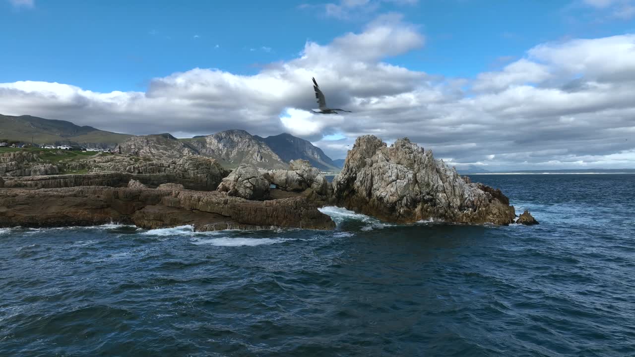 Vista aerea delle scogliere costiere e di alcuni uccelli marini a Hermanus, Sudafrica