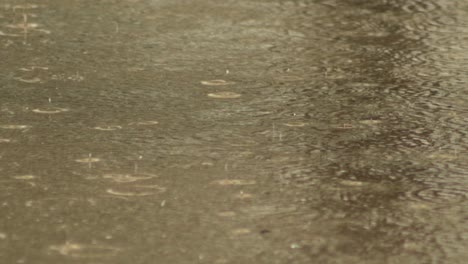 flooded footpath sidewalk in heavy rain close up maffra, gippsland, victoria, australia