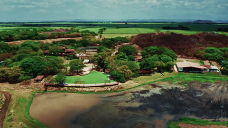 aerial drone shot over la hacienda el viejo wetlands in guanacaste, costa rica. high view of the lush vegetation and the green landscape.