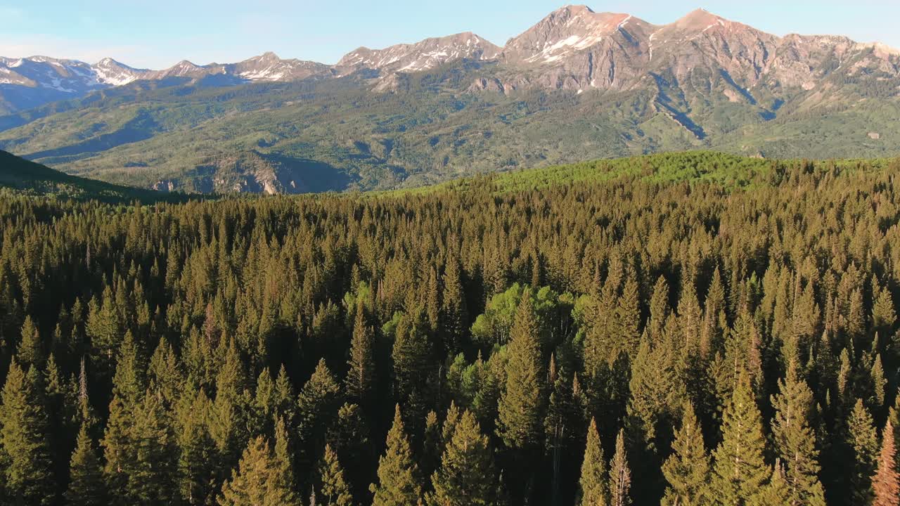hd drone volando sobre hermosos pinos cerca de la montaña ruby peak en kebler pass, colorado