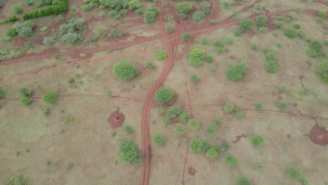 aerial top down view on empty dirt road on savanna wilderness in kenya, africa