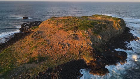 Pájaros-Volando-Alrededor-De-La-Isla-Cook-Durante-La-Puesta-De-Sol-Dorada-En-Nsw,-Australia