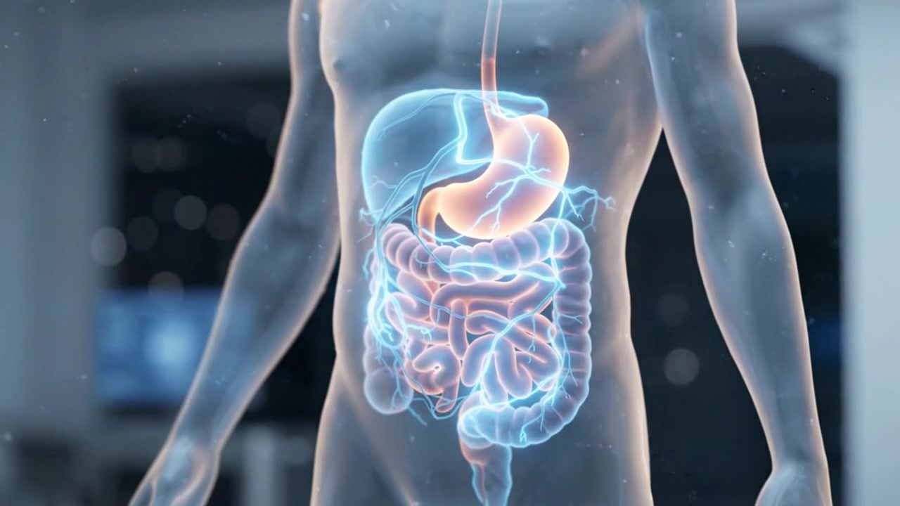 Full body human anatomy scan displayed inside a futuristic medical imaging room