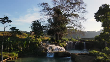 Tropical-Nature-With-Terraced-Rice-Fields-And-The-Weekacura-Waterfall-In-West-Sumba,-Indonesia