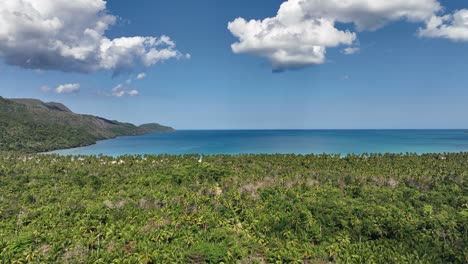 Explora-Este-Vuelo-Con-Drones-Entre-Plantaciones-Y-Palmeras-Hacia-La-Paradisíaca-Playa-Boca-Del-Diablo-En-Samaná,-República-Dominicana