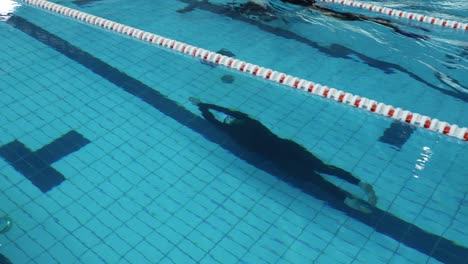 indoor pool frediving competitor without fin