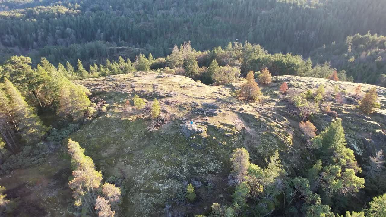 excursionista masculino se encuentra en la cumbre en la isla de vancouver, canadá, lone tree hill