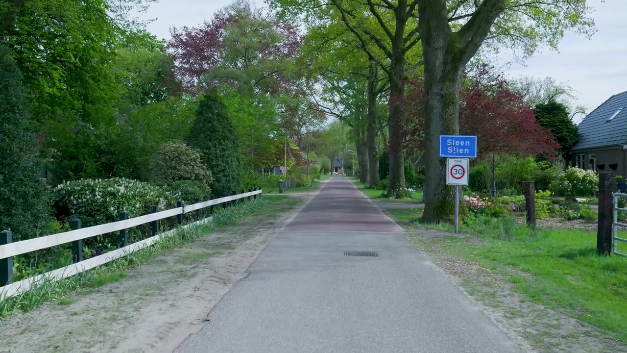 Quiet Country Road Lined With Trees in Sleen, Netherlands