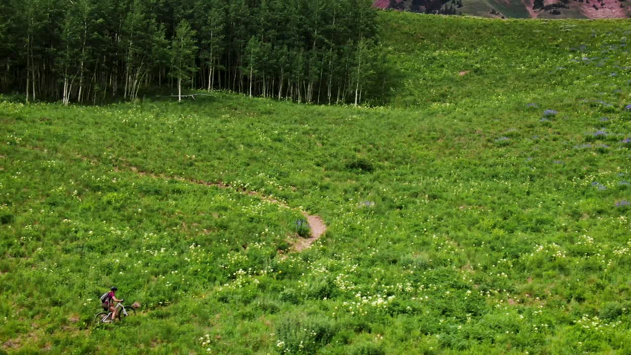 ciclista de mtb escalando una pendiente constante, exuberantes alrededores verdes, sendero de deer creek