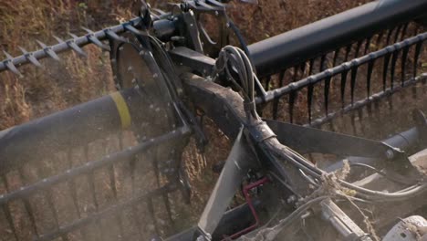 Combine-harvester-harvesting-organic-soybeans-on-sunny-day-slow-motion