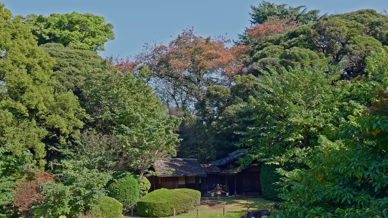 A small, traditional Japanese wooden building with a thatched roof nestled amongst dense green and autumn trees