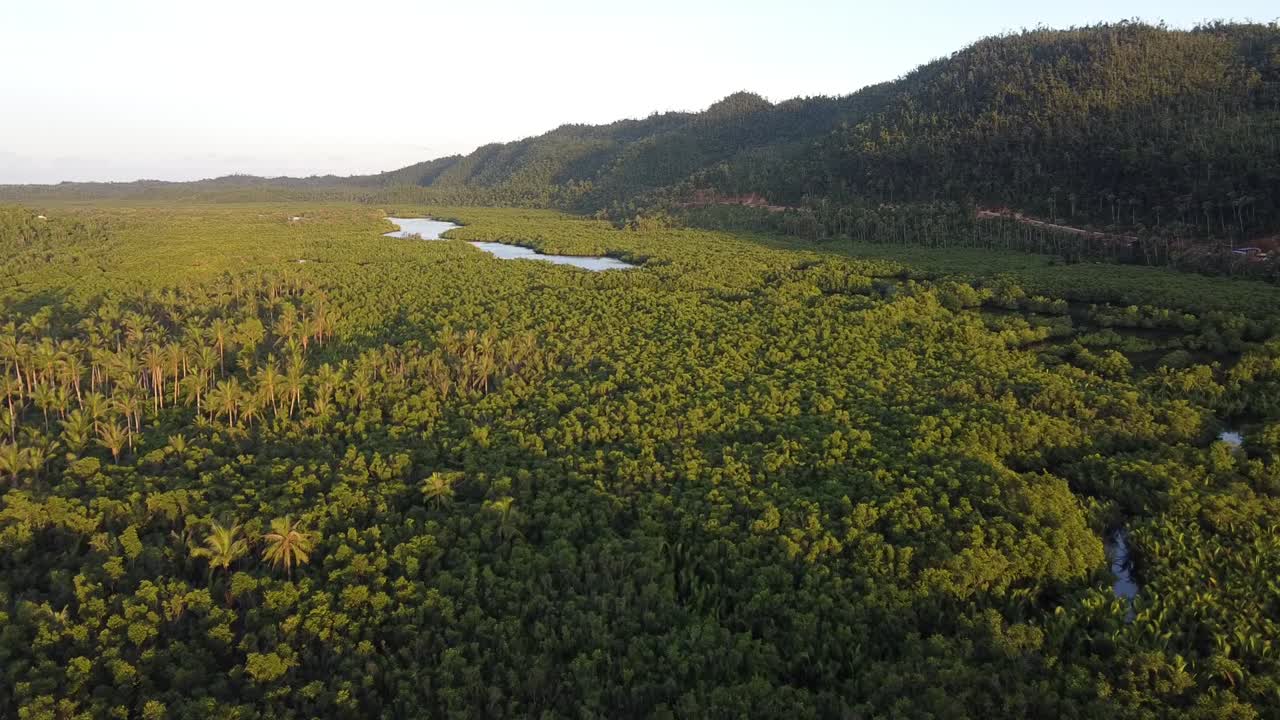 필리핀 시아르가오 섬 의 열대 숲 사이 의 계곡 바닥 에 흐르는 휘어지는 강