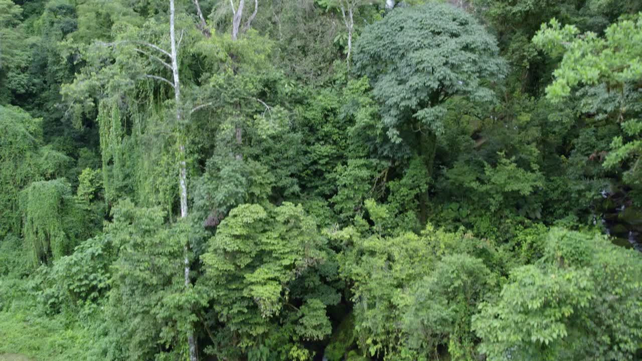 levantamiento aéreo sobre una joven caminando cerca de la cascada brumosa de las lajas entre un denso bosque verde y nubes, san luis morete, costa rica