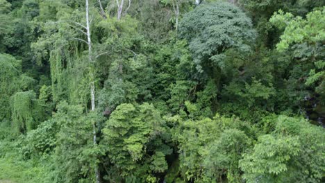 Aerial-rising-over-young-girl-walking-near-Las-Lajas-misty-waterfall-between-dense-green-forest-and-clouds,-San-Luis-Morete,-Costa-Rica