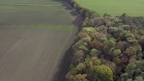 Drohnenaufnahmen-Aus-Der-Luft,-Die-Eine-Wunderschöne-Landschaft-Mit-Herbstfarben-Zeigen,-Aufgenommen-An-Einem-Ort-Namens-Uetz-In-Brandenburg,-Deutschland