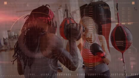 animación del procesamiento de datos sobre el boxeo femenino con un entrenador masculino en el gimnasio