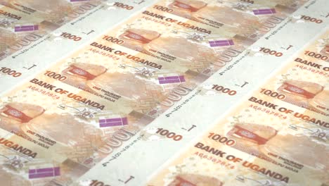 billetes de uno mil chelines ugandeses de uganda, dinero en efectivo, bucle