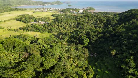 Vista-Aérea-Del-Exuberante-Bosque-Tropical-Cerca-De-La-Ciudad-Costera-Rural-De-Baras,-Catanduanes,-Filipinas