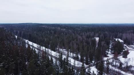 Increíble-Bosque-De-Paisaje-Nevado-De-Invierno-En-Ogre-Letonia,-Estado-Báltico,-Aéreo