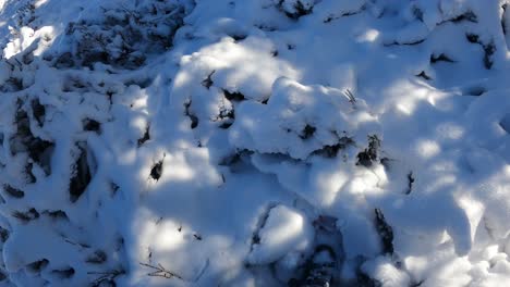 Point-of-view-shot-looking-down-at-a-hiker-wearing-snow-shoes-and-walking-accross-the-snow-in-the-Australian-Alps