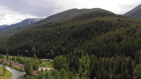 aerial shot of forested green mountains with river winding through valley below, camera moves slowly forward over tops of pine trees