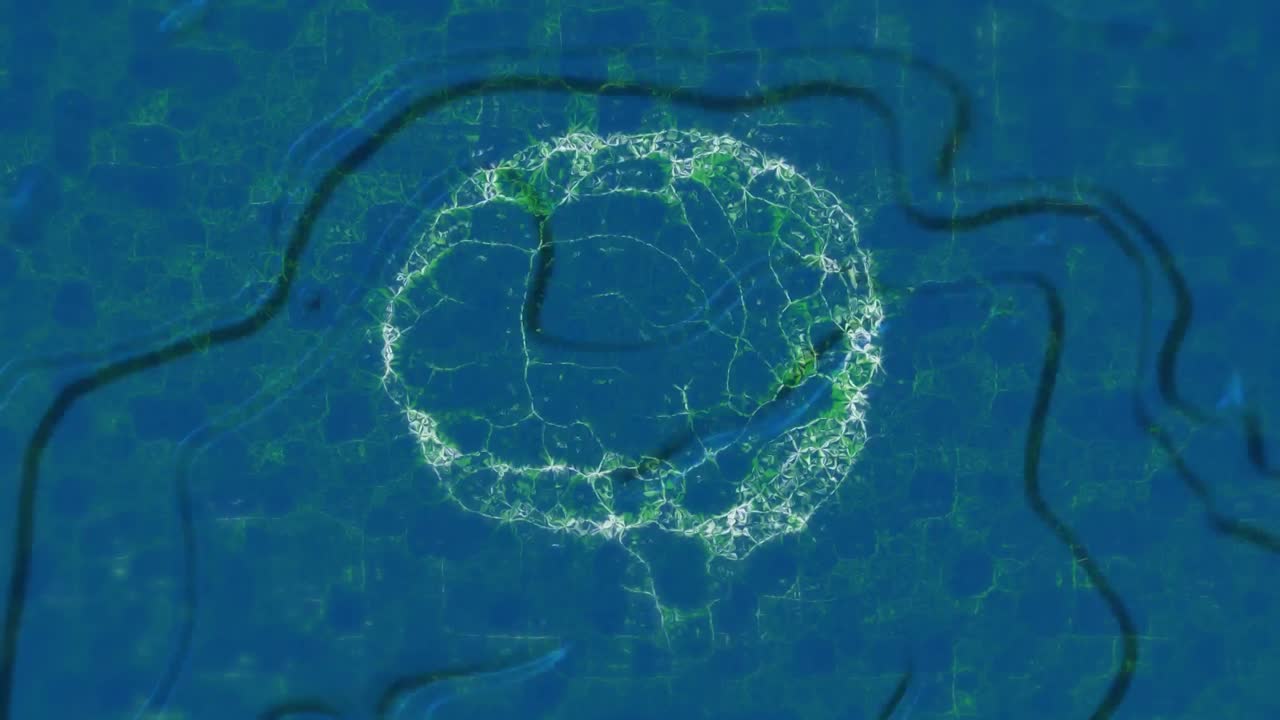 Animation of human brain over liquid background