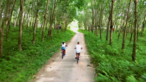 a couple of men and women on bicycle in the jungle of koh yao yai thailand, men and woman bicycling alongside a rubber plantation in thailand.