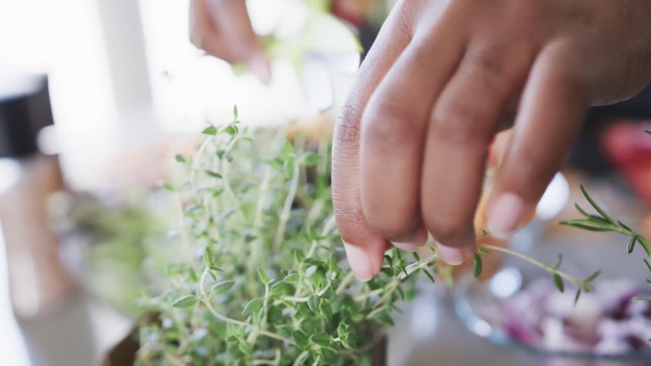 주방에서 음식을 준비하는 아프리카계 미국인 여성의 손, 신선한 허브를 자르는, 느린 동작