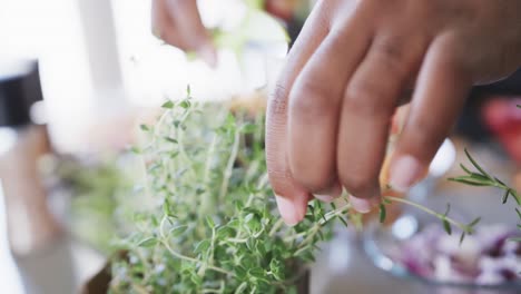 Manos-De-Una-Mujer-Afroamericana-En-Delantal-Preparando-Comida-En-La-Cocina-Cortando-Hierbas-Frescas,-Cámara-Lenta