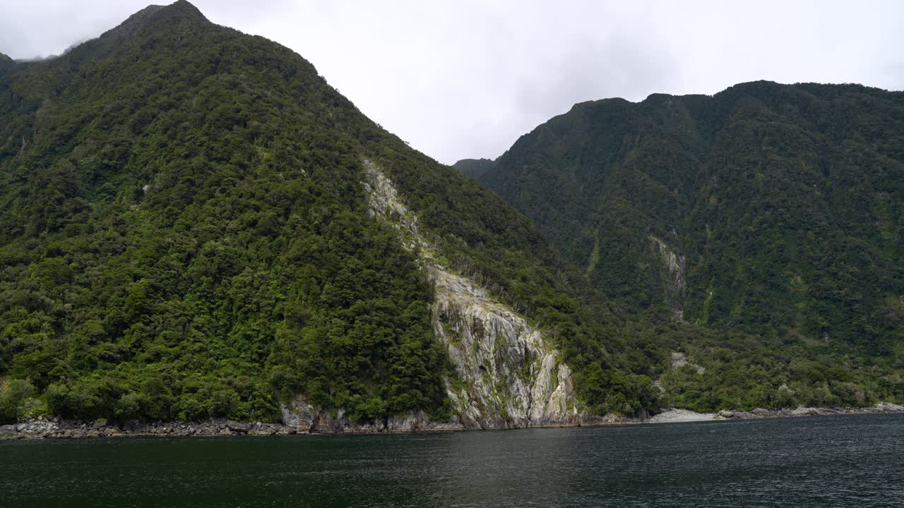 뉴질랜드 밀포드 사운드 (milford sound) 의 절벽 아래로 떨어지는 거대한 나무 눈사태