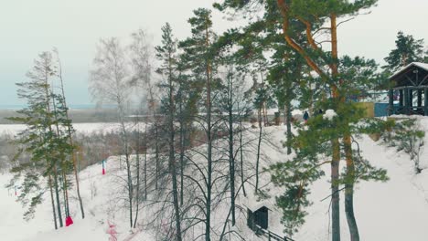 large-snowy-hill-with-coniferous-trees-and-dark-wooden-arbor