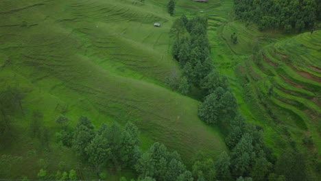 wide drone shot of lush greenery in tourism area of makwanpur, nepal, landscape features beautifully aligned hills and trees, showcasing the natural beauty and farming in the region after monsoon rain