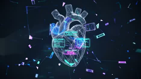 digital heart visualization