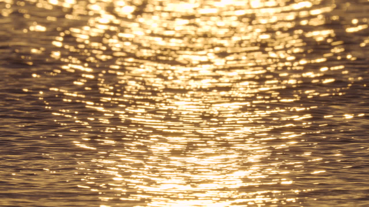 Rippling Waves with Sunlight Reflections