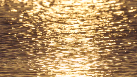rippling waves with sunlight reflections