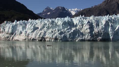 el calentamiento global y el cambio climático que afectan a los glaciares de alaska