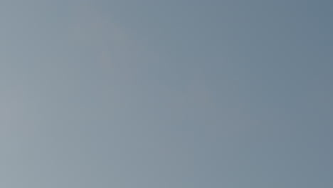 weitwinkelaufnahme in zeitlupe eines cricketballs, der durch die luft fliegt