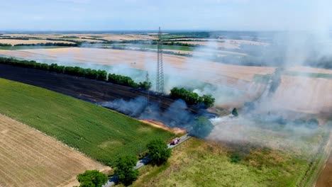 Smokes-Arising-From-The-Burning-Grain-Fields