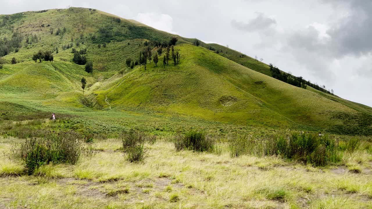 Un vasto scenario di prato rivela pendii erbosi vivaci e profili montuosi stratificati sotto una luce soffusa e nuvolosa mentre un cavallo cammina attraverso un terreno montuoso aperto all'interno di un paesaggio rurale sereno.