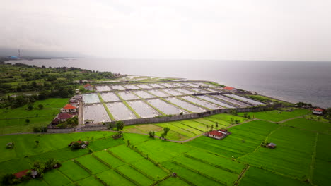 Indonesische-Garnelenfarmen,-Bedeutender-Teil,-Aquakulturindustrie-Des-Landes