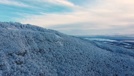 stunning drone footage over a snow covered forest