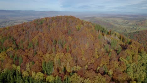 órbita-Aérea-Disparada-Sobre-El-Bosque-De-Color-Otoñal-En-La-Cima-De-Una-Colina-En-Europa