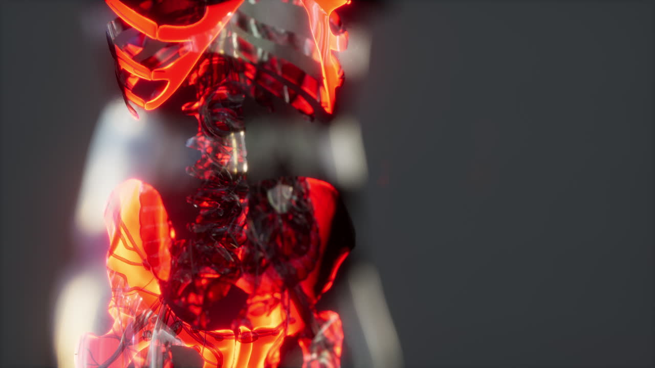 escáner médico de huesos y articulaciones del esqueleto humano