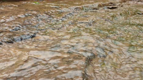 mountain-spring-water-stream-running-down-huge-sandstone-slabs-of-rock-with-green-moss,-algae-and-green-plants---crystal-clear-drinking-water,-meditation-tranquil-and-peaceful-calming-outdoor-nature